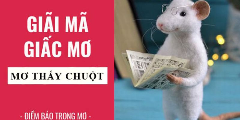 Mơ thấy chuột, vận may hay rủi? Mơ thấy chuột, vận may hay rủi?