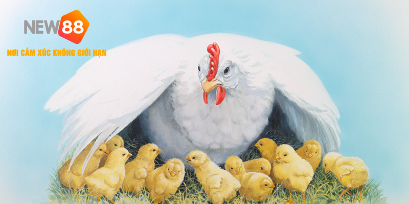 Một Số Bệnh Thường Gặp Ở Gà Con Và Cách Phòng Tránh Hiệu Quả